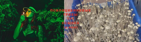 дживик Бугульма