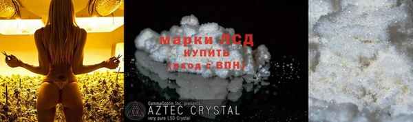 сатива Верея