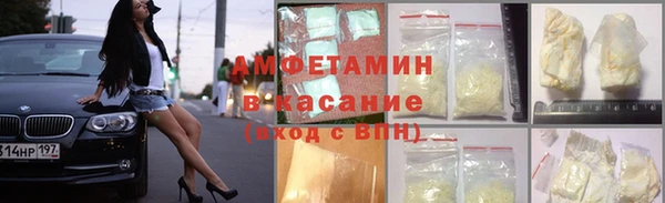 сатива Верея