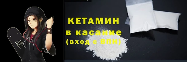 сатива Верея