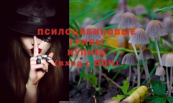 дживик Бугульма