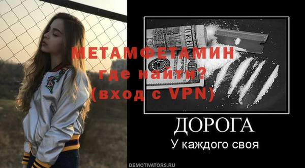 сатива Верея