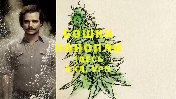 твердый Бронницы
